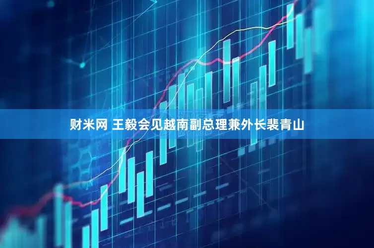财米网 王毅会见越南副总理兼外长裴青山