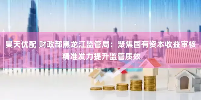 昊天优配 财政部黑龙江监管局：聚焦国有资本收益审核 精准发力提升监管质效